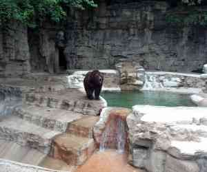 Le Zoo de Saint Louis